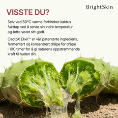 Brightskin PoreReset™ - behandling for hudormer og synlige porer 4-pakning